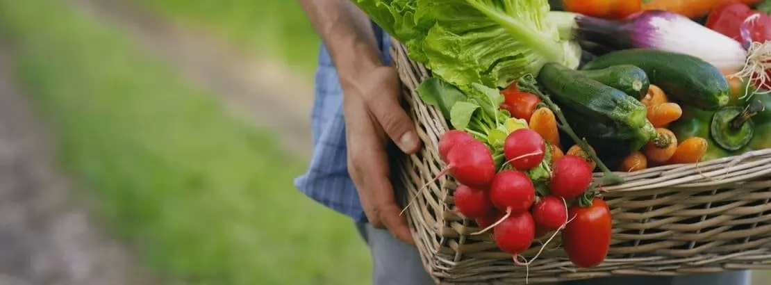 Como aproveitar o melhor dos alimentos de cada estação
