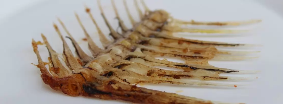 Como tirar espinha de peixe: ferramentas e alternativas