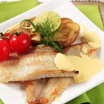 Receita de Filé de Tilápia ao Molho Holandês