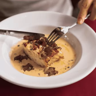 Receita de filé de merluza com creme de leite cremoso